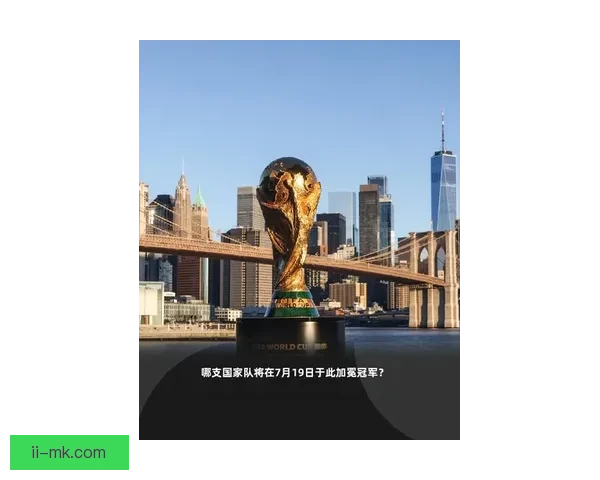 国际足联宣布世界杯决赛将在纽约新泽西大都会人寿体育场举行